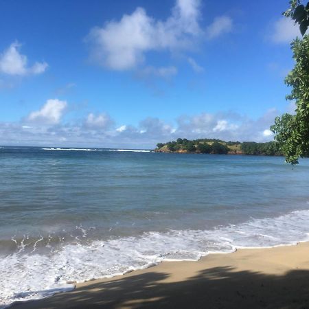 Studio Ana Martinique 拉特里尼泰 外观 照片